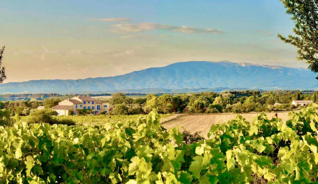 Bastide Saint-Didier Εξωτερικό φωτογραφία
